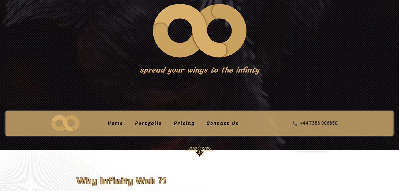 اینفینیتی وب